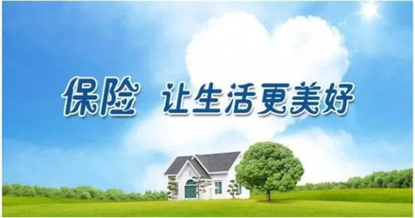 保险一般买什么险种？2024年最新保险推荐(图1)