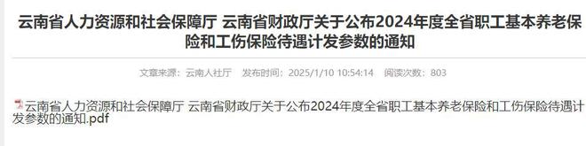 J9九游会网站：终于云南公布2024年养老金计发基数标准多少？补多少养老金？(图2)