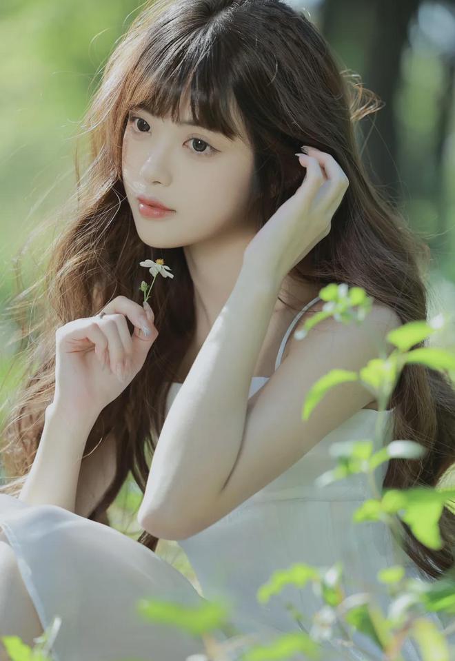 险打一准确生肖(图1)