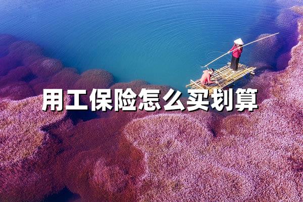 2024用工保险怎么买划算？一文读懂险种选择与投保技巧(图1)