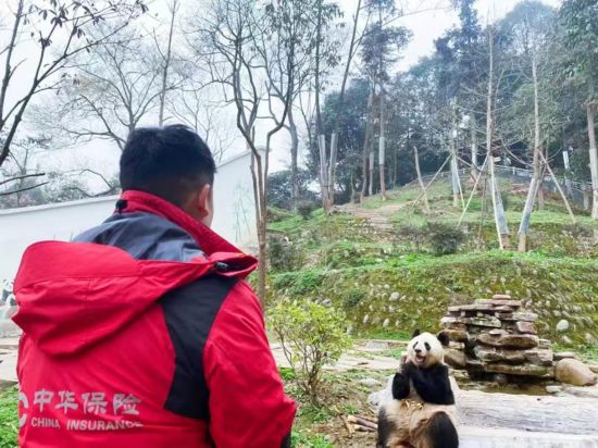 中华保险两篇作品获评“中国保险业2024年度好新闻”(图2)