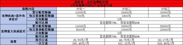 J9九游会：2024年最新热门宠物保险推荐怎么买？(图1)