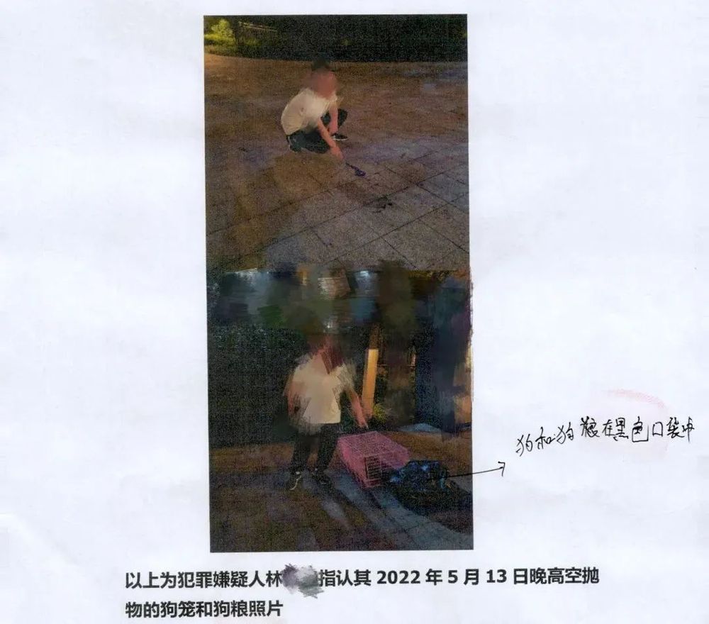 J9九游会网站：天降乌龟砸死孩童饲主被判赔128万分期偿还(图4)