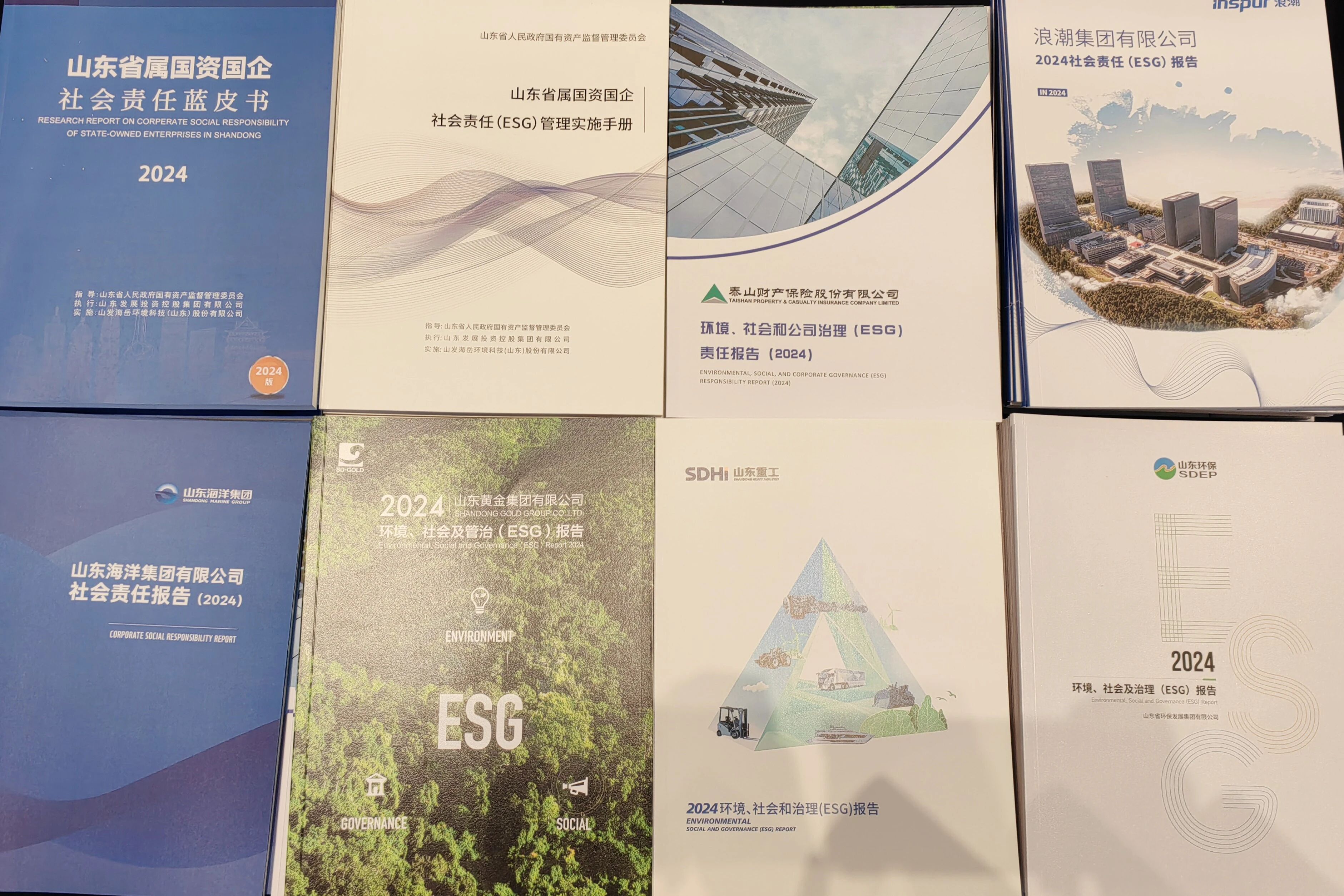 泰山保险环境、社会和公司治理（ESG）社会责任报告（2024）正式发布(图2)